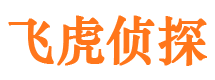 黎平职业捉奸人